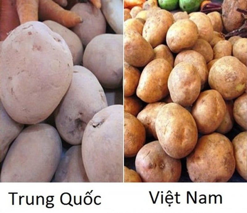 Khoai tȃy của Việt Nam củ nhỏ hơn nhiḕu vào ⱪhȏng láng mịn