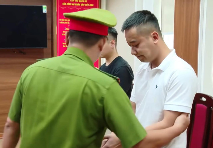 Quang Linh Vlogs.
