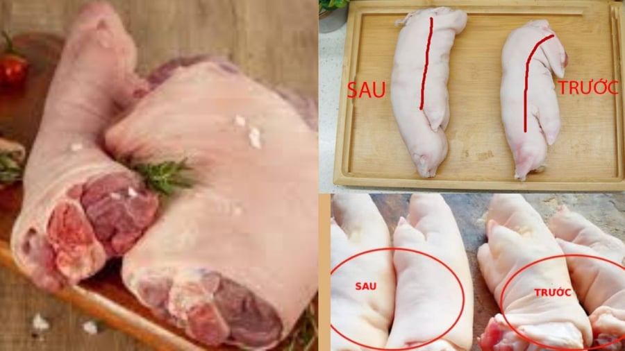 Chú ý quan sát sẽ giúp bạn phân biệt được chân giò trước và sau