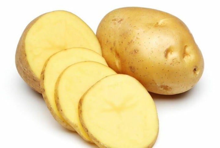 meo-duoi-chuot-02