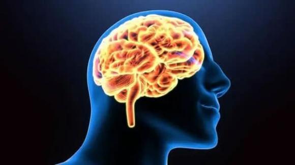 thực phẩm, ăn ᴜṓng, chăm sóc sức ⱪhỏe